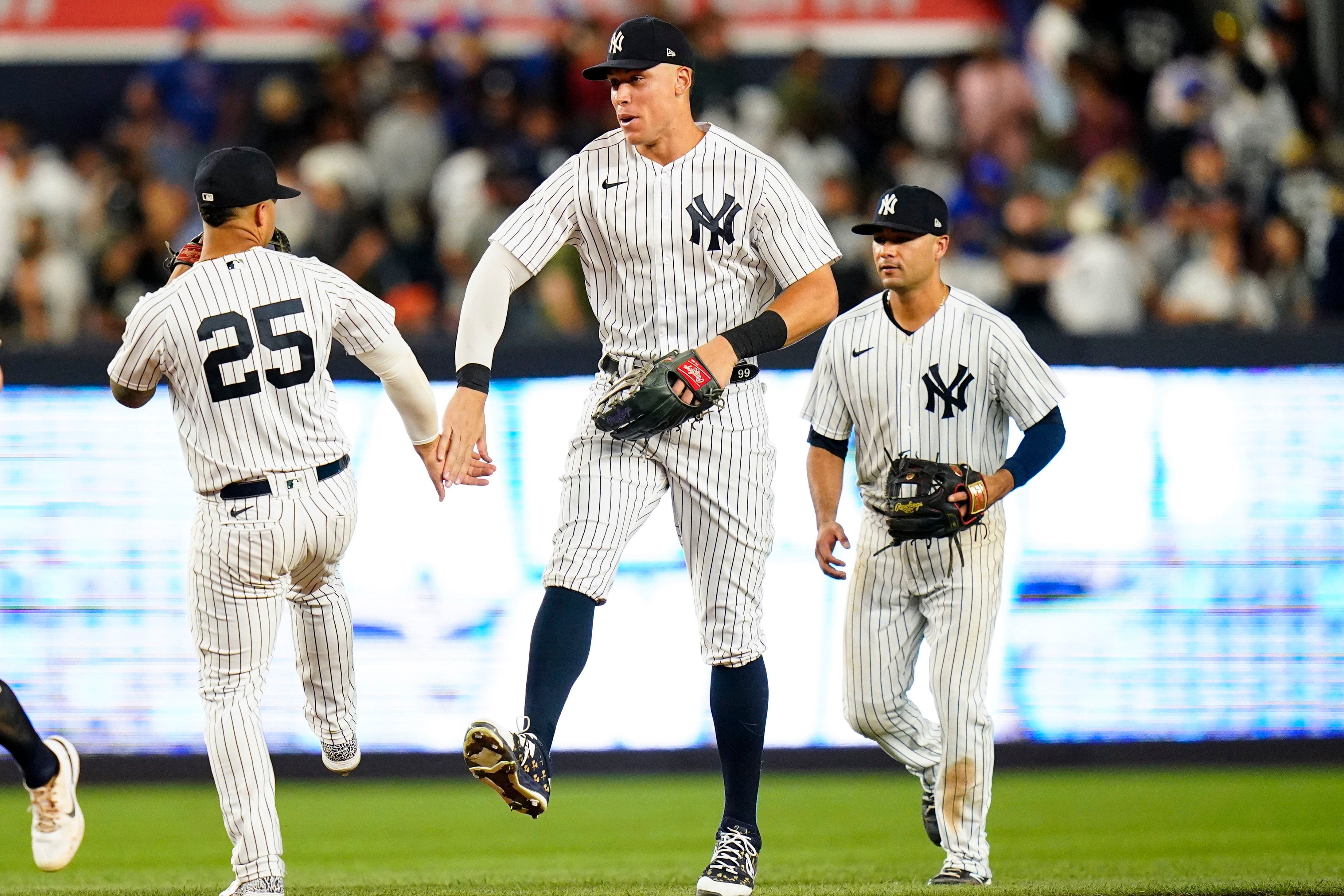 Watch: Aaron Judge's dog plays on field at Yankee Stadium