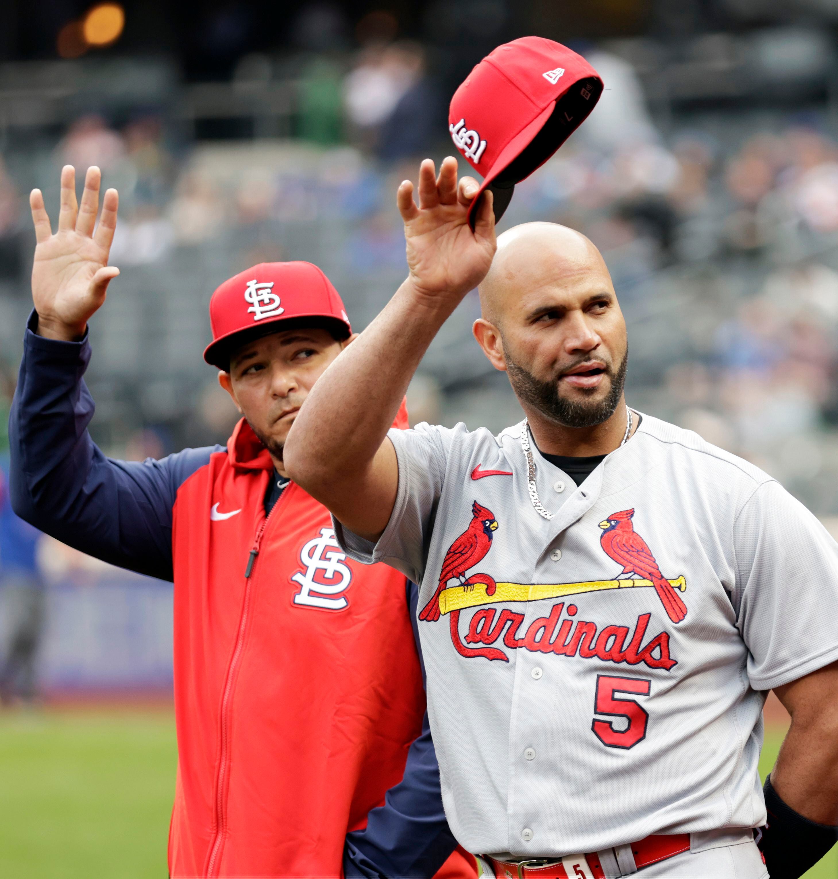 Stores in St. Louis are giving away Pujols merchandise - NBC Sports