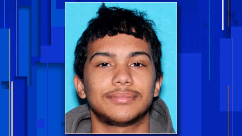 Roseville police search for missing 16-year-old boy