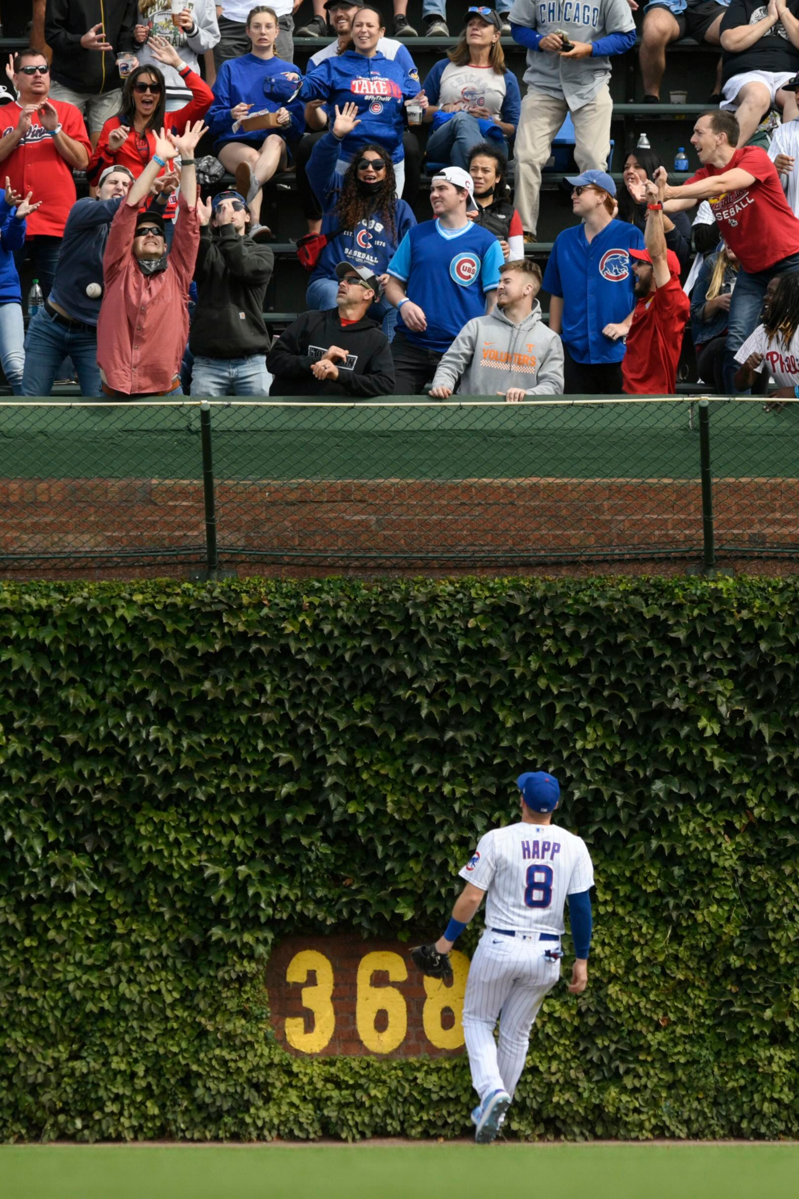 The Wrigley Field ivy ate another baseball on Monday