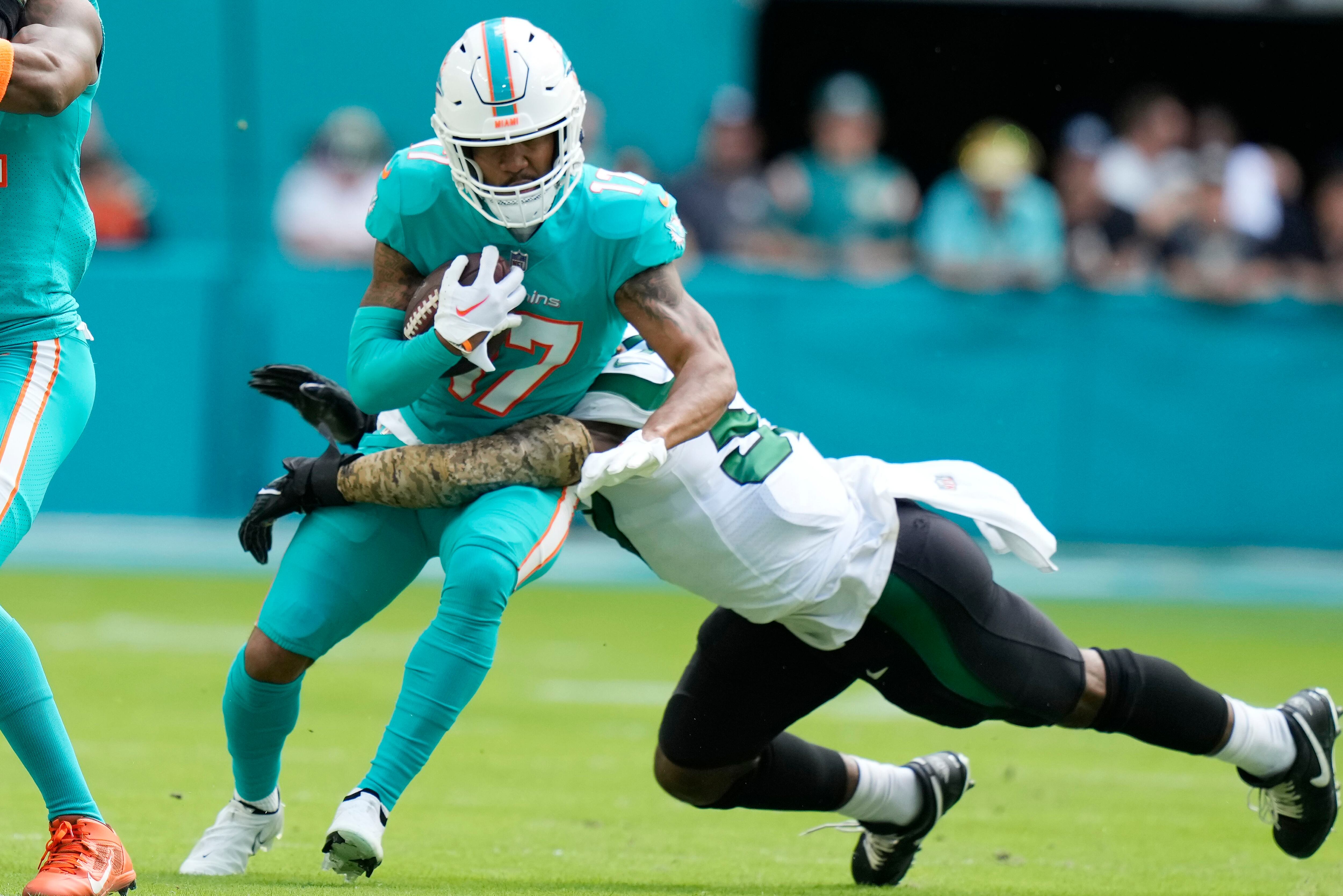 Dolphins stop Lions late; Miami's Liam Eichenberg injured