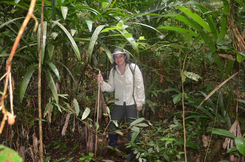 New Amazonian frog species named after late Detroit Zoo curator