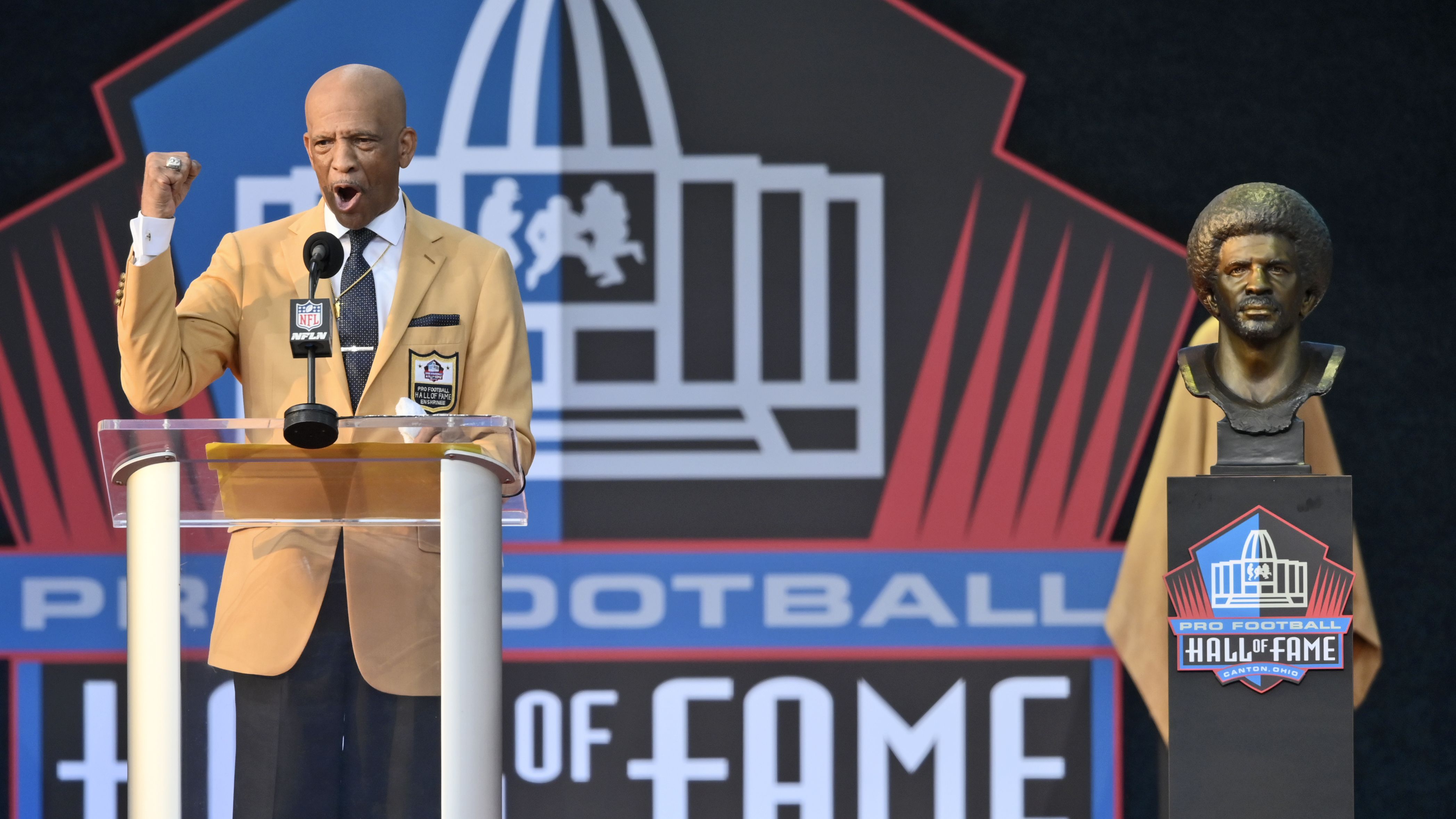 Defense was on display at Pro Football Hall of Fame induction ceremony -  The Boston Globe