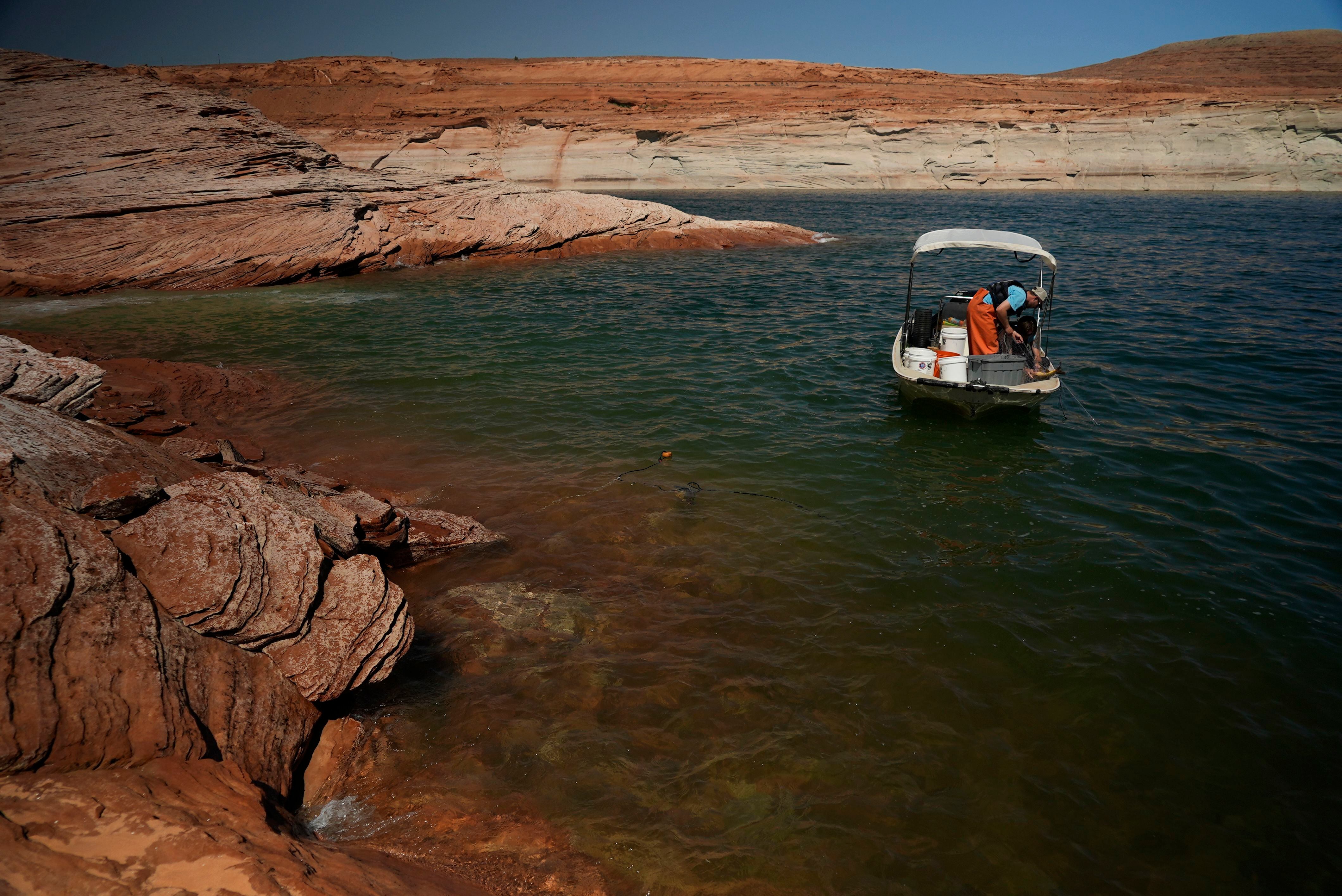 Minnow Trapping … A Rite of Spring