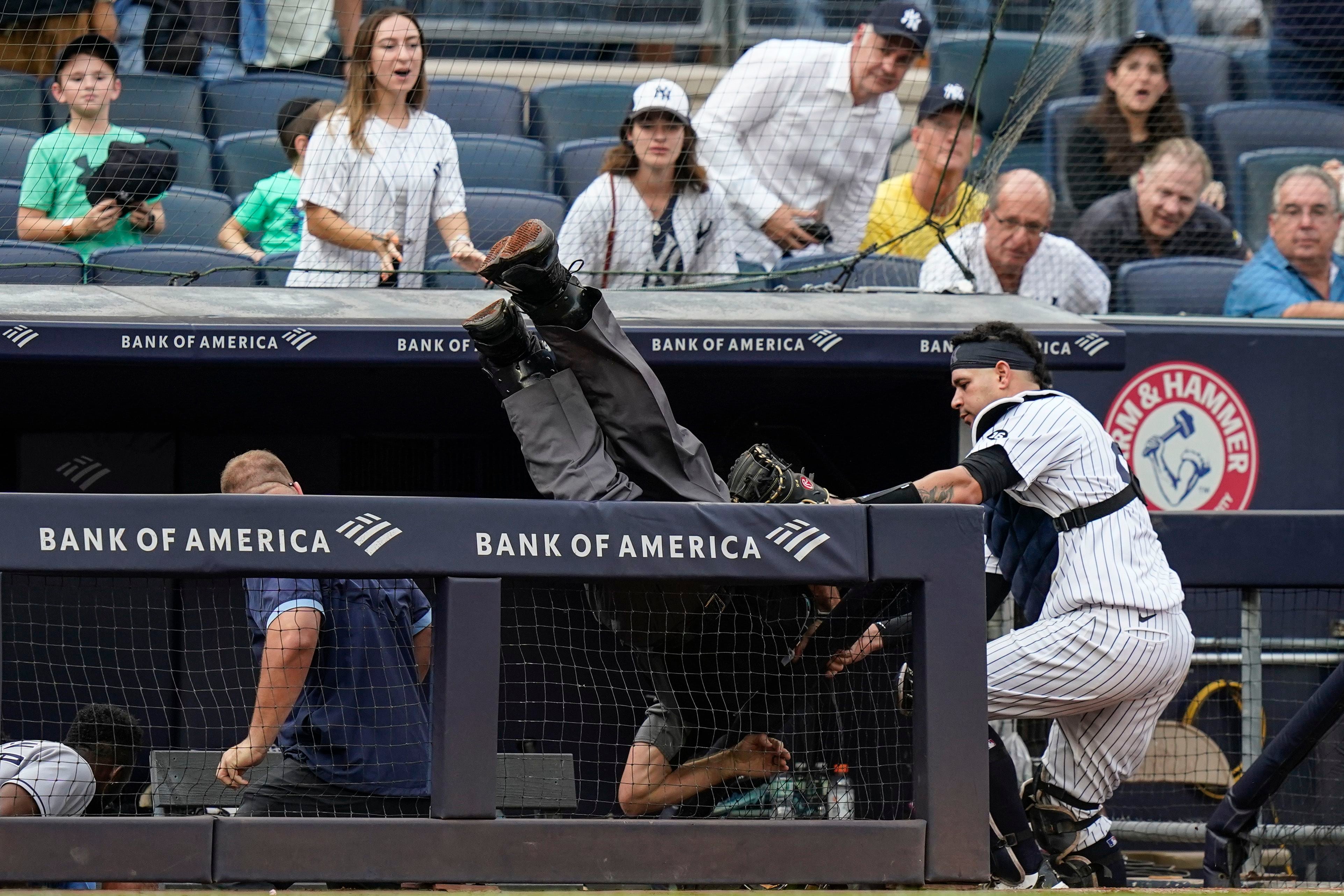 Yankees' Gio Urshela runs full speed to catch foul ball, dives