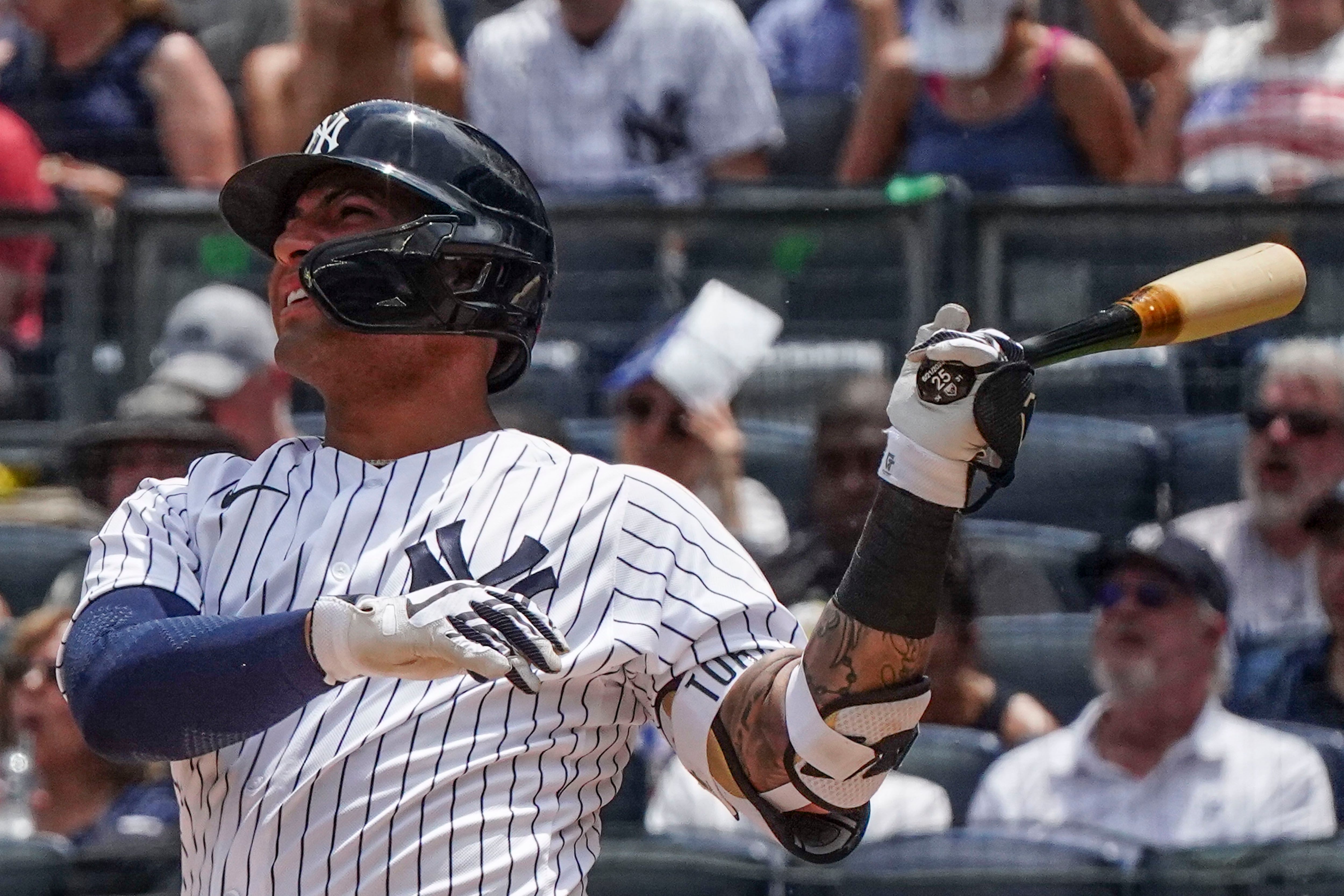 Anthony Rizzo used his dog to help Yankees keep Aaron Judge