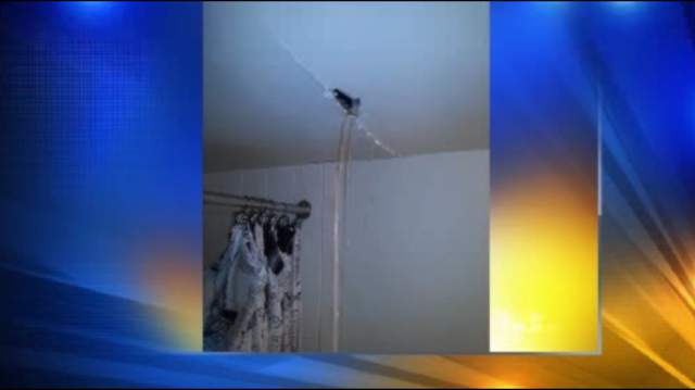 Southfield Apartment Ceiling Crumbling From Water Damage