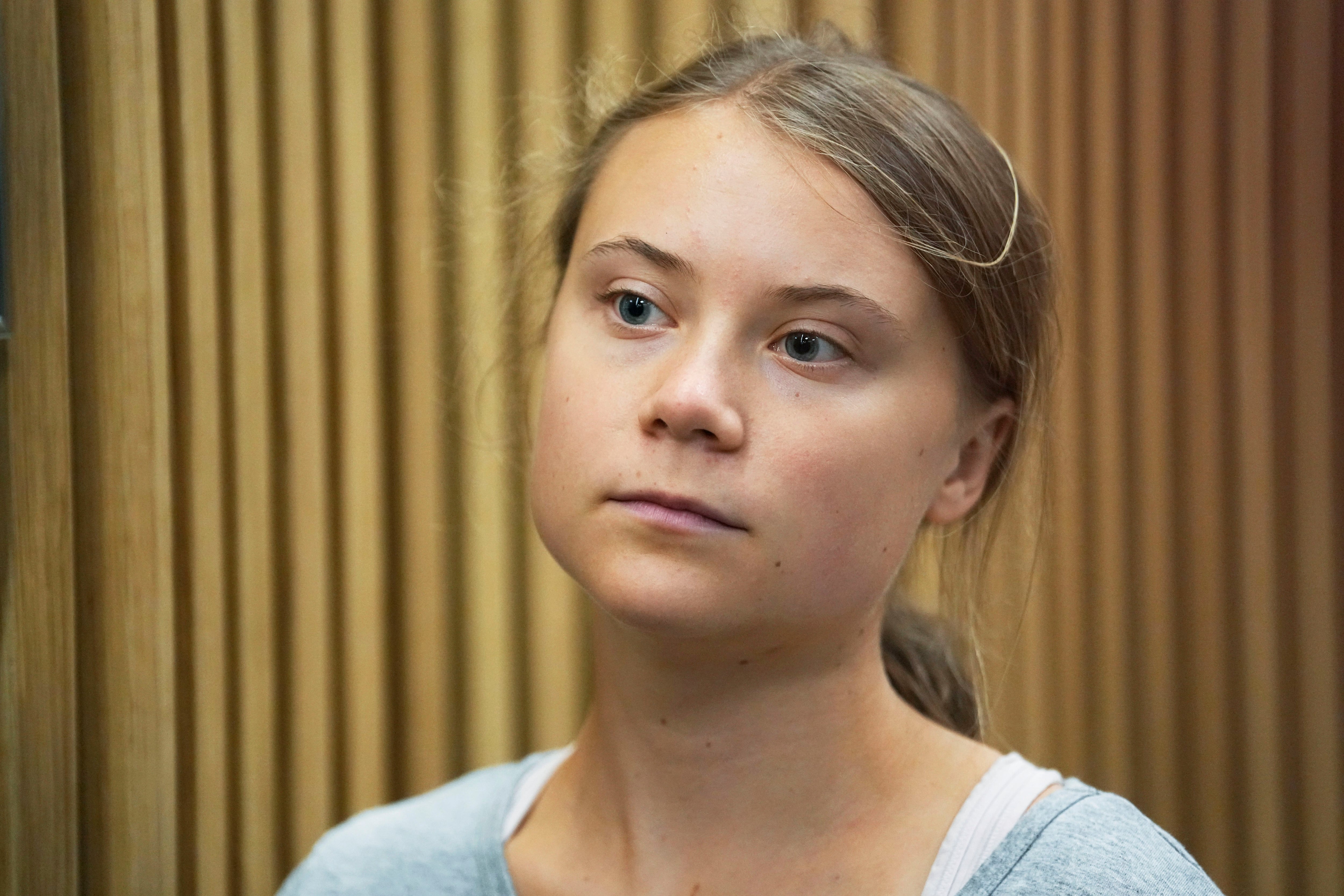 Greta Thunberg defiant after Swedish court fines her for disobeying police  during climate protest